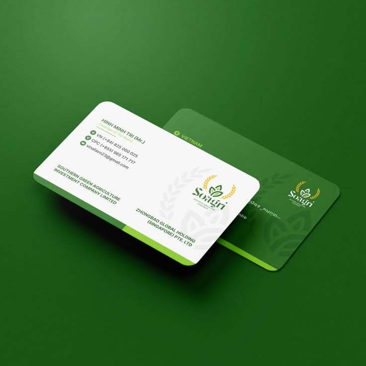 Cartes de visite professionnelles à Pointe-Noire : le guide complet 2026